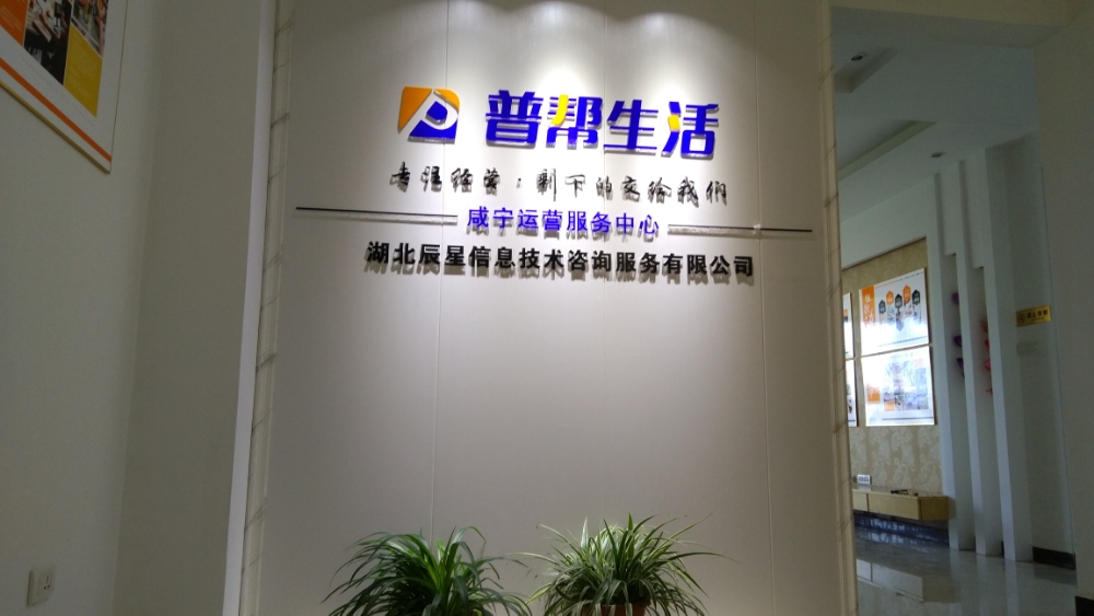 湖北辰星信息技术咨询服务 咸宁地区的地图与信息技术解决方案专家